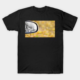 All the leaves have fallen... T-Shirt